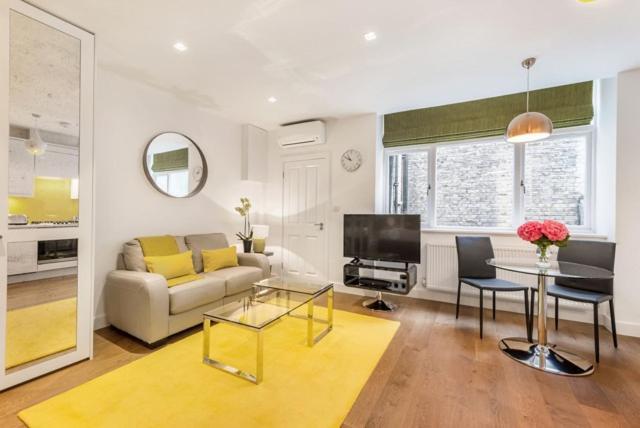 Marylebone - Crawford Street By Viridian Apartments Londres Exterior foto